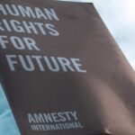 How Non-Governmental Organizations Fight for Human Rights