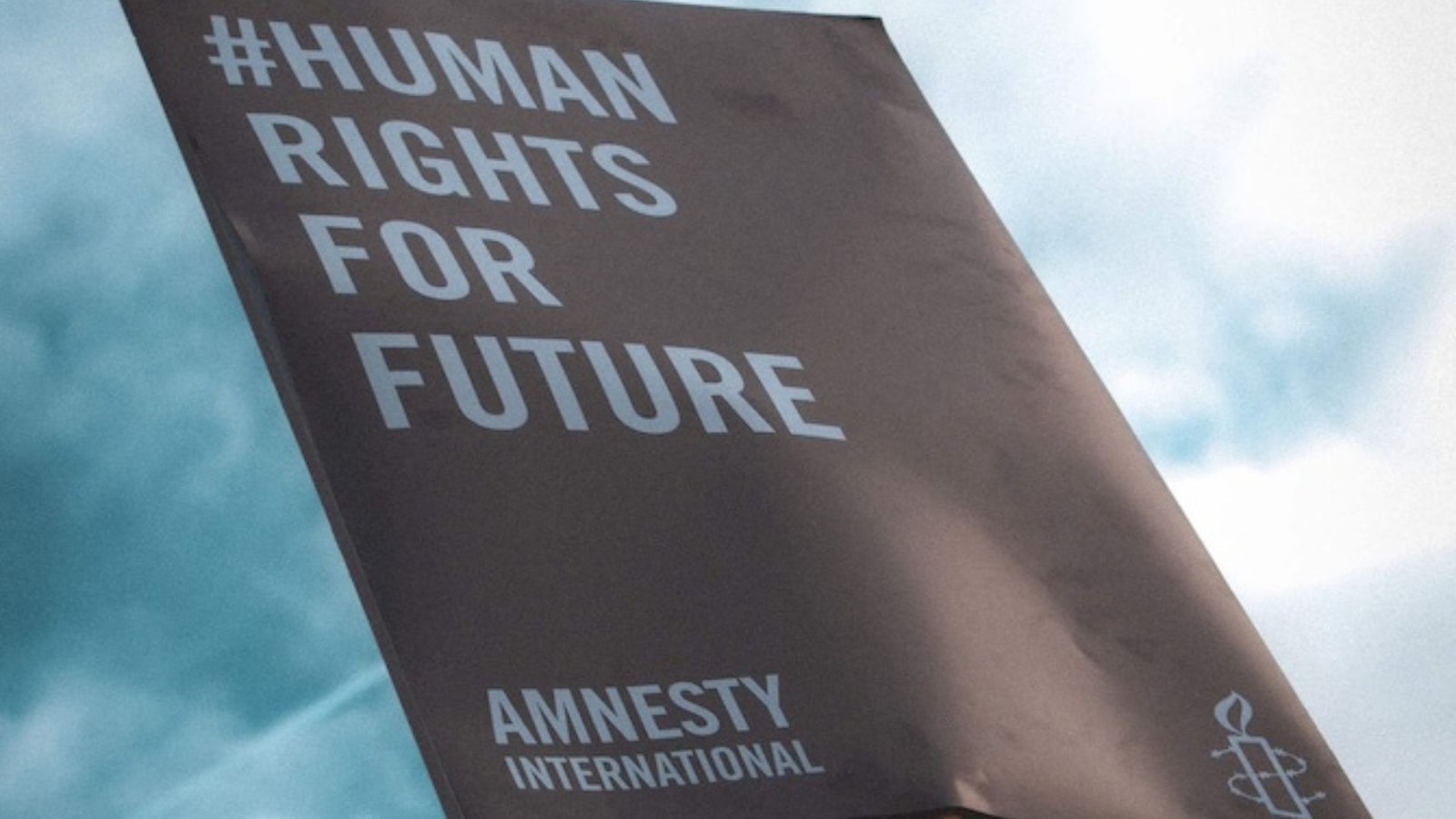 How Non-Governmental Organizations Fight for Human Rights