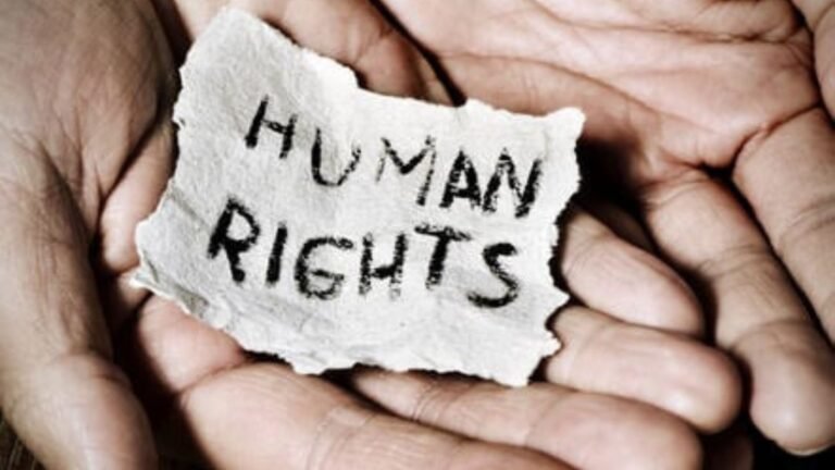 Importance Of Freedom In Human Rights