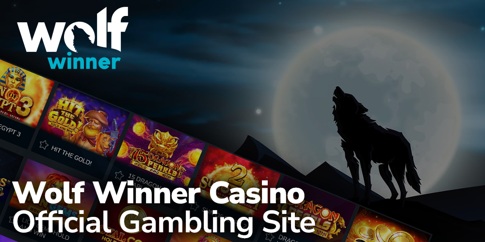 Wolf Winner Casino Australia Review: Font, Legibility & Accessibility in Black & Gold Design